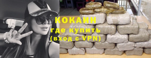 прущий лед Алзамай