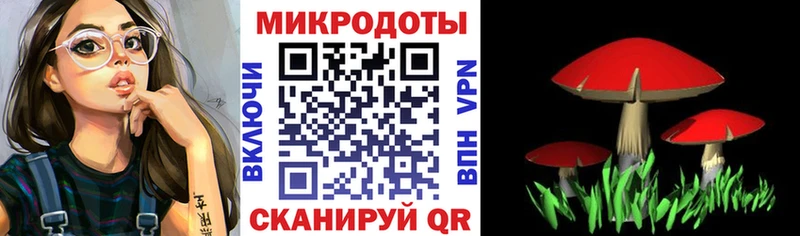 как найти закладки  Александровск  Галлюциногенные грибы Psilocybine cubensis 