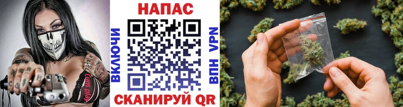 где можно купить наркотик  Александровск  Марихуана планчик 